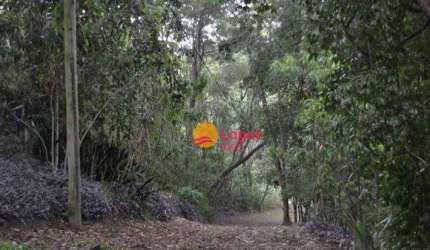 Terreno em local bastante arborizado, ideal para loteamento ou condomínio horizontal, 202.000 m², R$ 1.780.000,00 - Vila Progresso - Niterói/RJ