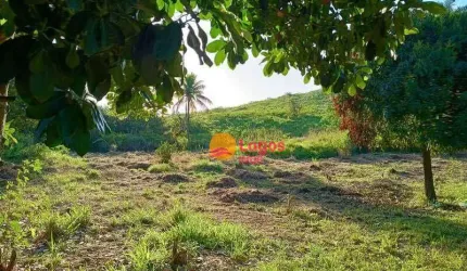 Terreno à venda, 6730 m² por R$ 150.000,00 - Granjas Mirassol (Pachecos) - Itaboraí/RJ