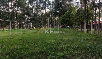 Sítio - à venda na Região de Ribeirão Preto