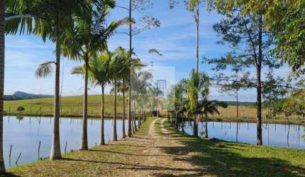 CHÁCARA no DISTRITO INDUSTRIAL SUL com 4 quartos para VENDA, 679 m²