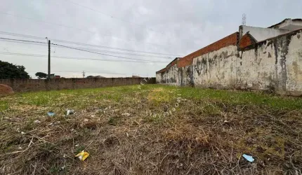 Terreno para alugar, 318 m² por R$ 2.250,00 - Cidade Satélite Íris - Campinas/SP