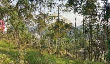 Terreno à venda, 5141 m² por R$ 1.280.000,00 - Chácara Recreio Lagoa dos Patos - Jundiaí/SP