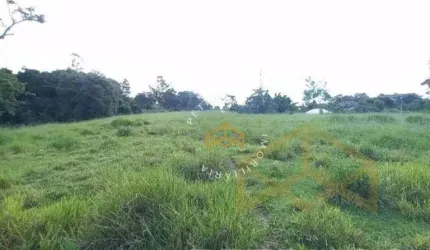 Terreno à venda, 23300 m² por R$ 1.250.000,00 - Sousas - Campinas/SP