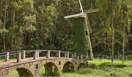 Terreno Comercial à venda, Swiss Park, Campinas - TE2214.