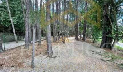 Terreno Residencial à venda, Jardim Maristela, Atibaia - TE2341.
