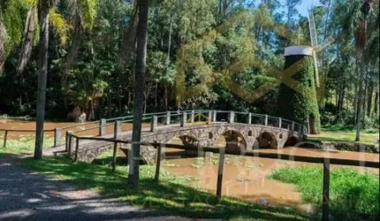 Terreno Comercial à venda, Swiss Park, Campinas - TE2819.