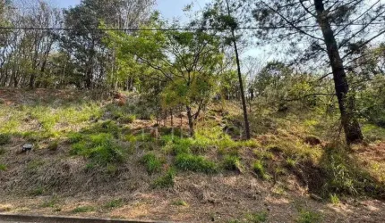 Terreno Residencial à venda, Joaquim Egídio, Campinas - TE3515.