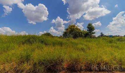 Terreno à venda, 365 m² por R$ 350.000,00 - Jardim dos Calegaris - Paulínia/SP