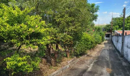 Terreno à venda, 850 m²  - Cidade Satélite Íris - Campinas/SP