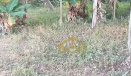 Terreno à venda, 250 m² - João XXIII - Vinhedo/SP