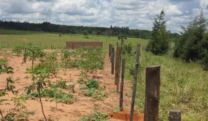 Rural Chácara em Ribeirão Bonito