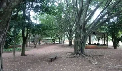 Rural Chácara em Araraquara