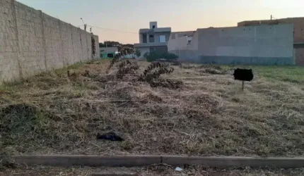 Terreno Padrão em São Carlos