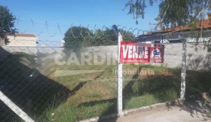 Terreno Padrão em São Carlos