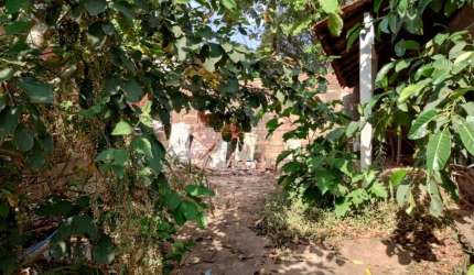 Casa Padrão em São Carlos