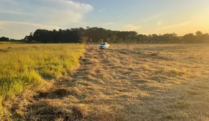 Rural Área em Araraquara