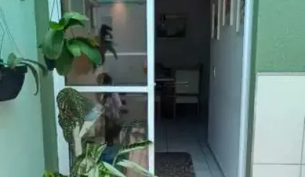 Apartamento Padrão em São Carlos