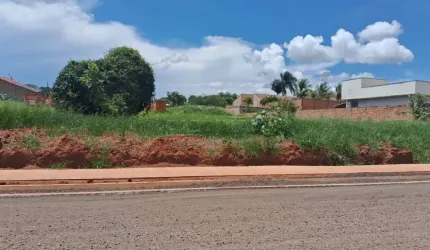 Oportunidade