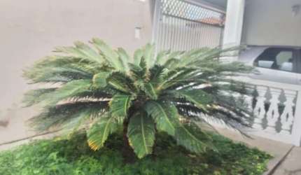 Casa Padrão em São Carlos