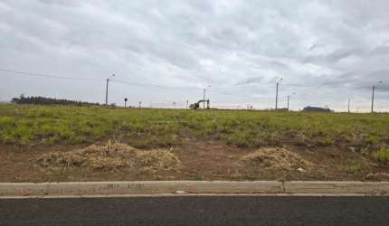 Terreno Padrão em São Carlos