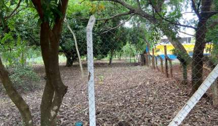 Terreno Padrão em São Carlos
