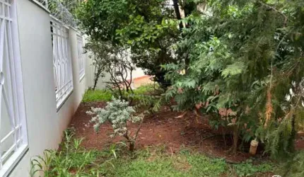 Casa Padrão em São Carlos