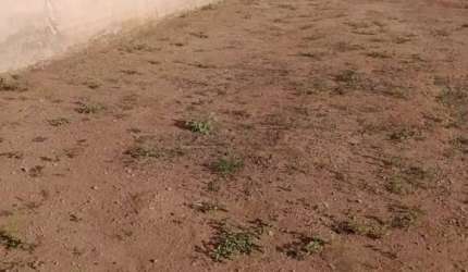 Terreno Residencial à Venda em Ibaté - Jequitibá por R$ 117.000,00