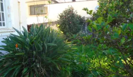 Casa com 4 dormitórios e 1 suíte no Centro próximo a Catedral em São Carlos