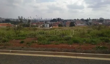 Terreno Padrão em São Carlos
