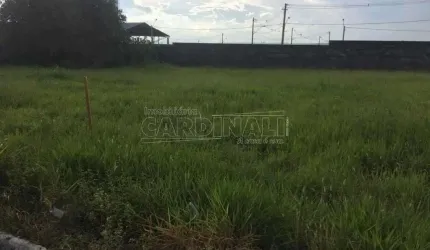 Terreno Padrão em Ibaté