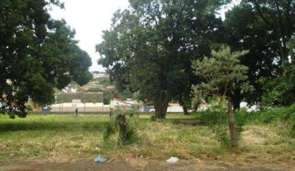 Terreno Padrão em São Carlos