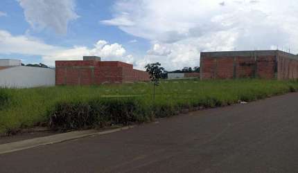 Terreno Padrão em São Carlos