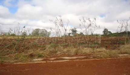 Terreno Padrão em São Carlos