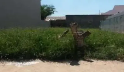 Terreno Padrão em São Carlos