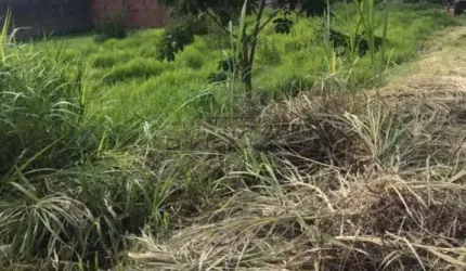 Terreno Padrão em São Carlos