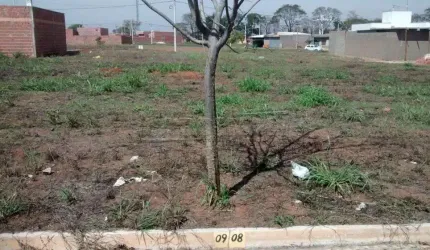 Lote em Porto Ferreira - SP