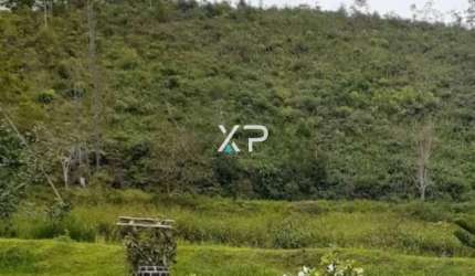 Sitio - Camboriú - 1.302.000m²  | XP2481