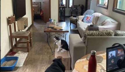 Casa com 3 quartos à venda na Vila Nova Carolina, São Paulo  por R$ 600.000