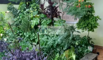 Casa 3 dormitórios 2 banheiros e 3 vagas no jardim Vila Formosa