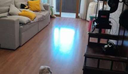 Apartamento para Venda em Santo André, Centro, 4 dormitórios, 1 suíte, 2 banheiros, 2 vagas