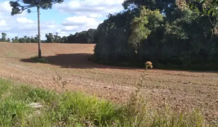Área de terra rural com 119.635m² em Araucária