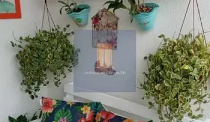 Apartamento em Barra Funda  -  São Paulo