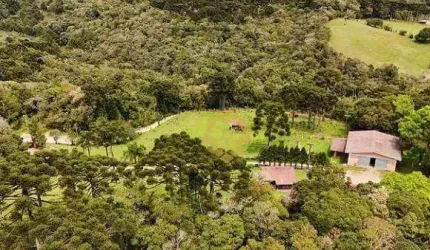 Oportunidade única! Haras completo com 316.000 m² por R$ 7.000.000 - Centro - Piraquara/PR