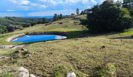 Chácara / sítio à venda na Casemiro Stoco, 1, Centro, Balsa Nova por R$ 890.000