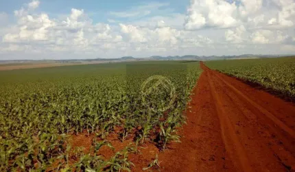 Fazenda à venda, 16431800 m² por R$ 260.000.000,00 - Jardim Lindóia - Goioere/PR