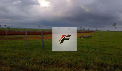 Fazenda à venda, 49000000 m² por R$ 209.000.000,00 - Centro - Paranavaí/PR