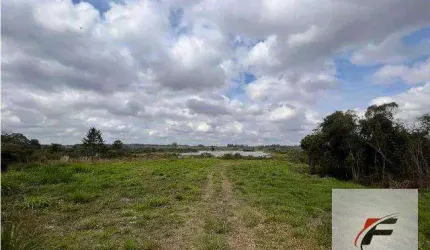 Terreno à venda, 98069 m² por R$ 1.100.000,00 - Campo de Santana - Curitiba/PR