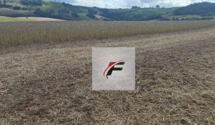 Fazenda à venda, 3775200 m² por R$ 48.929.400,00 - Centro - Pitanga/PR