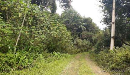 Terreno à venda na ENDEREÇO NÃO INFORMADO, Nucleo do Rio Pinto, Morretes, 150480 m2 por R$ 440.000