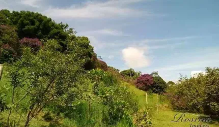 Chácara / sítio com 5 quartos à venda na ENDEREÇO NÃO INFORMADO, Zona Rural, Antonina, 300 m2 por R$ 1.000.000